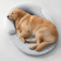 Orthopedic Cooling Dog Bed with Breathable Structure and Supportive Neck Pillow